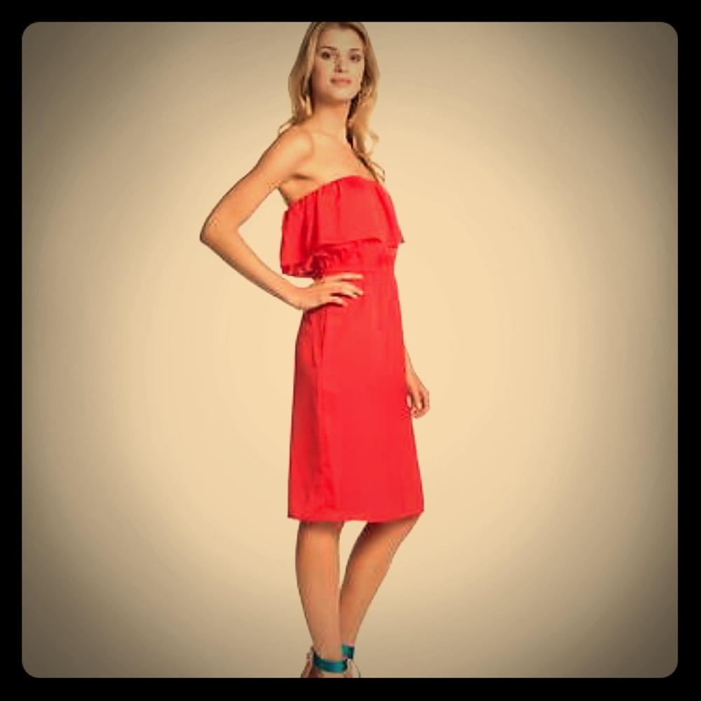 BRAND NEW BCBGMAXAZRIA Dress / Large